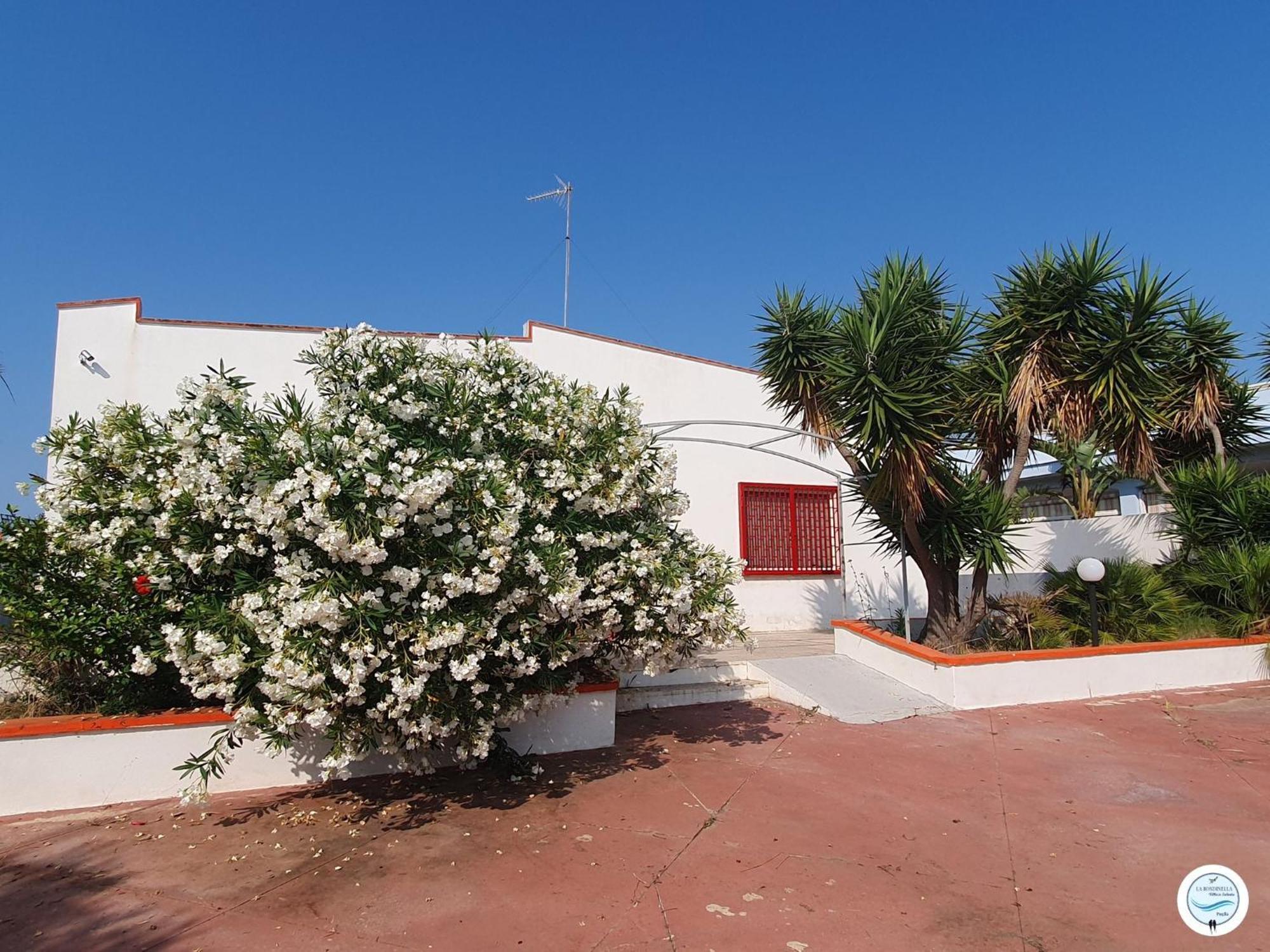 Villa La Rondinella - Torre San Giovanni מראה חיצוני תמונה